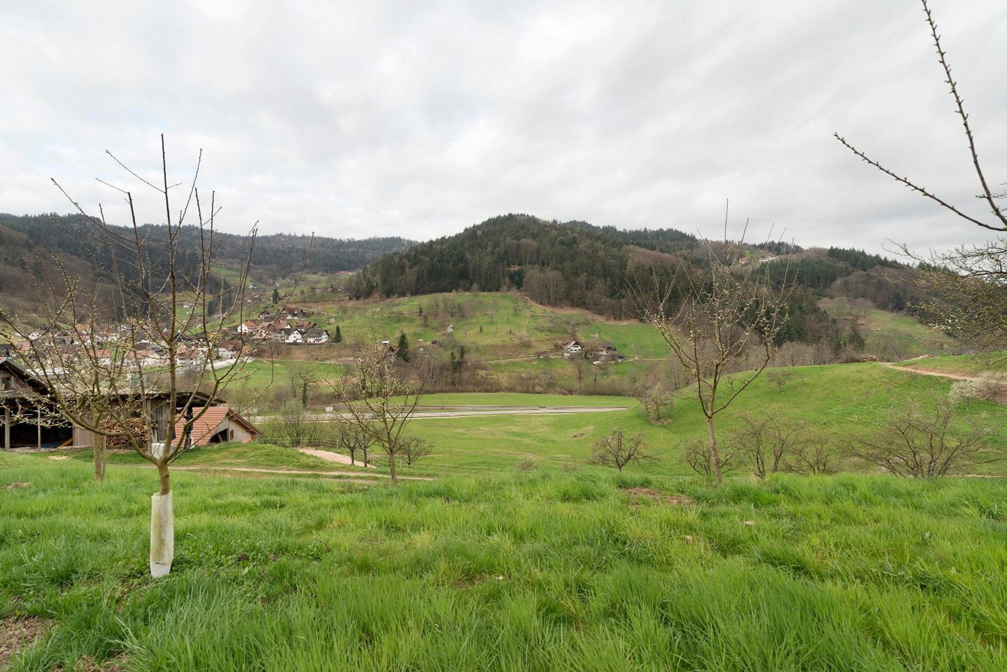 Haus Am Schroffen Lägenhet Ottenhofen im Schwarzwald Exteriör bild